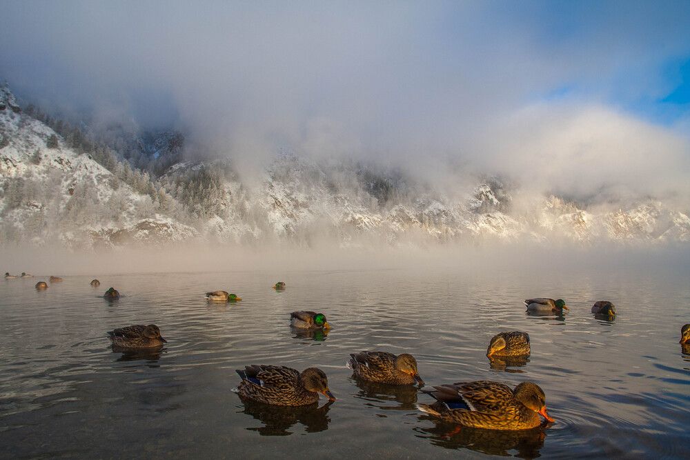 Photograph by Сергей Копылов