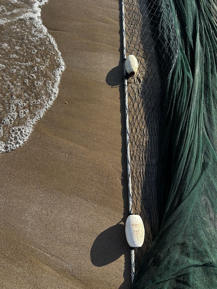 Фотография автора Svetlana Rashidova