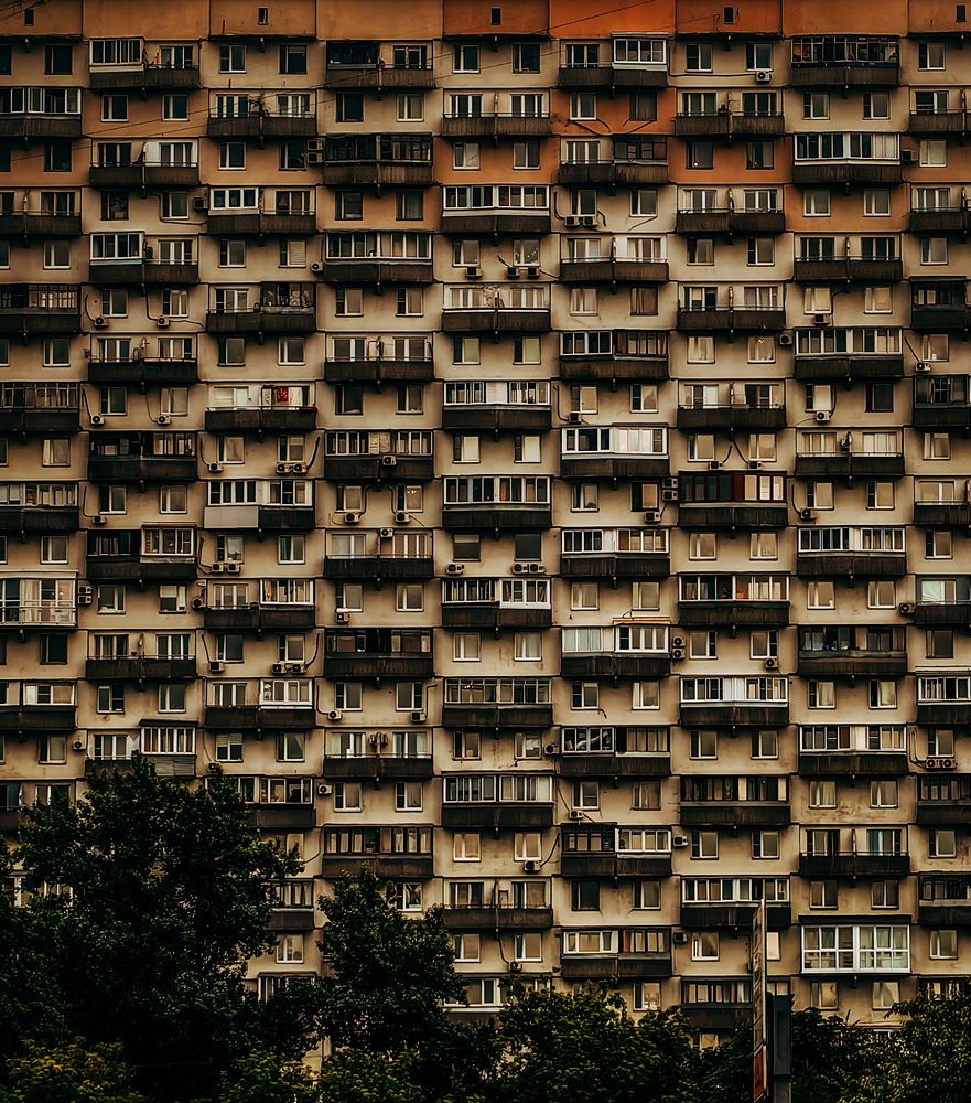 Фотография автора Дарья Арбатская