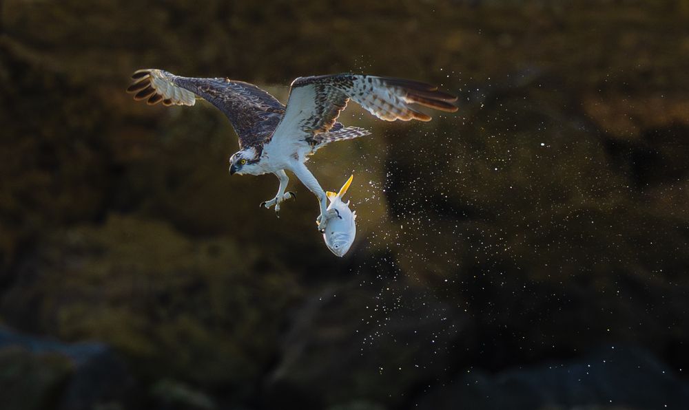 Photograph by Alberto Camardiel