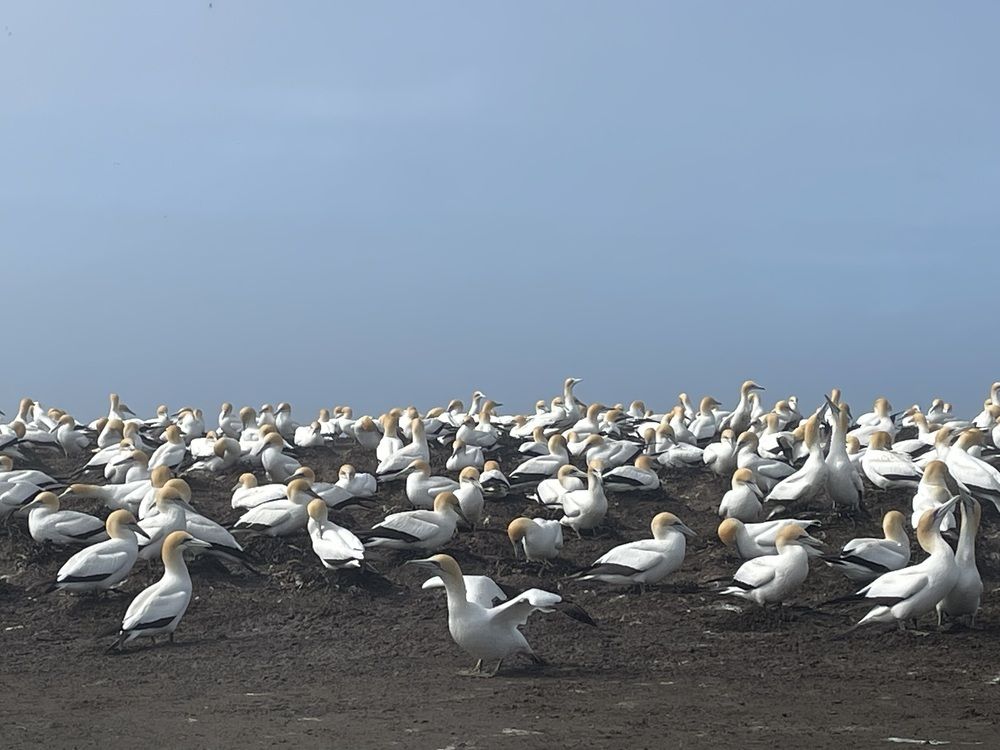 Photograph by Елена