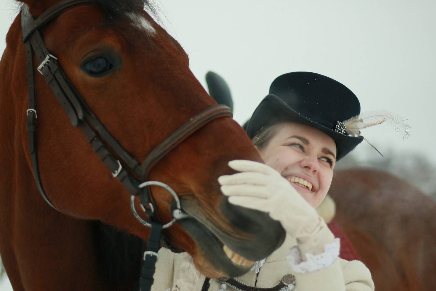 Photo #13124944