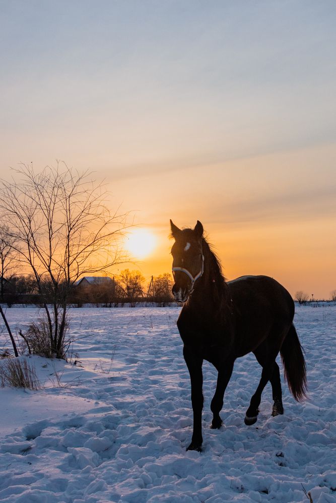 Photograph by Николай Шепелев