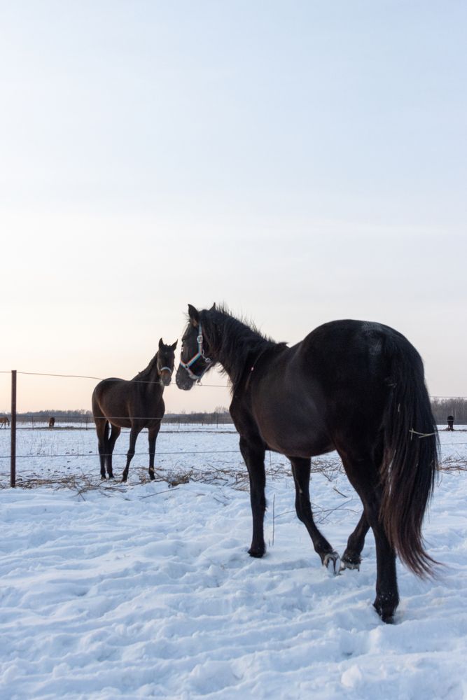 Photograph by Николай Шепелев