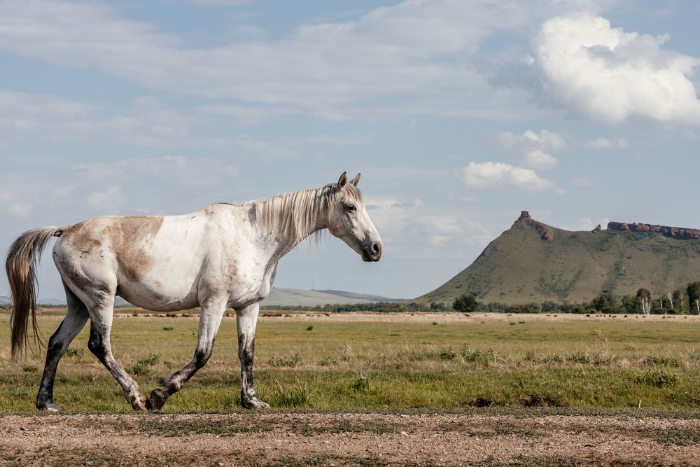 Photograph by Корчагина Оксана