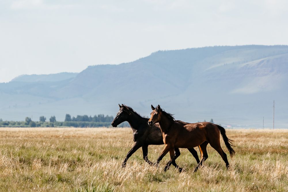 Photograph by Корчагина Оксана