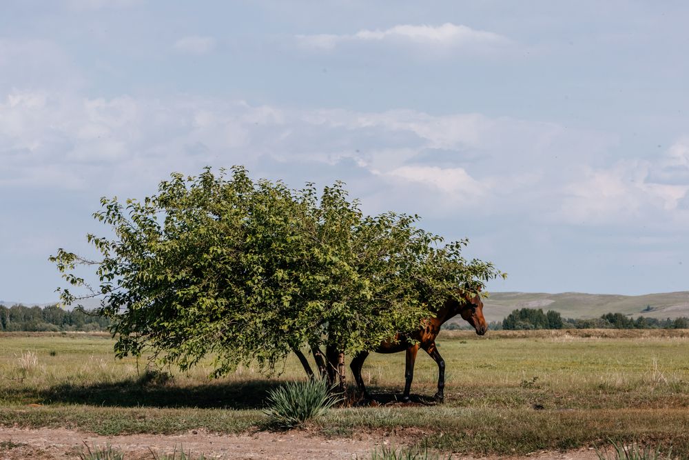 Photograph by Корчагина Оксана