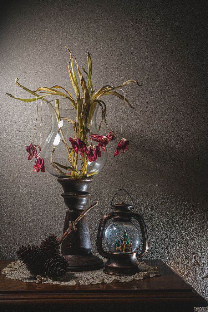 Фотография автора Elena Papadopoulou