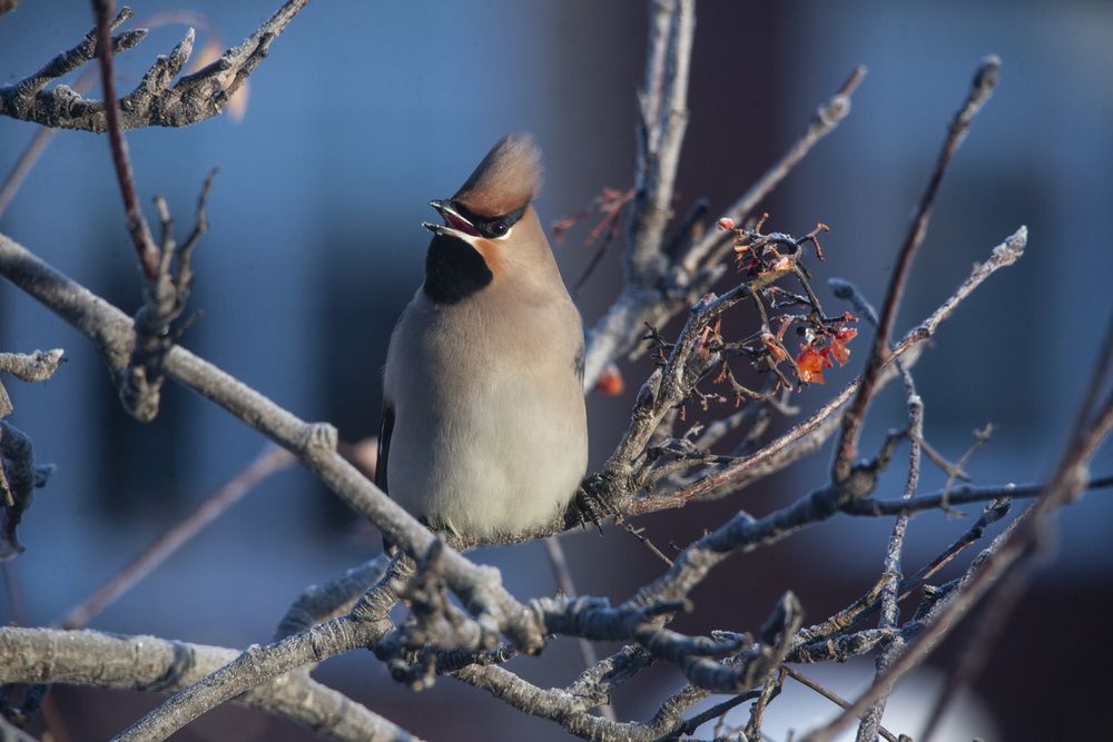 Photograph by Ольга Лукахина