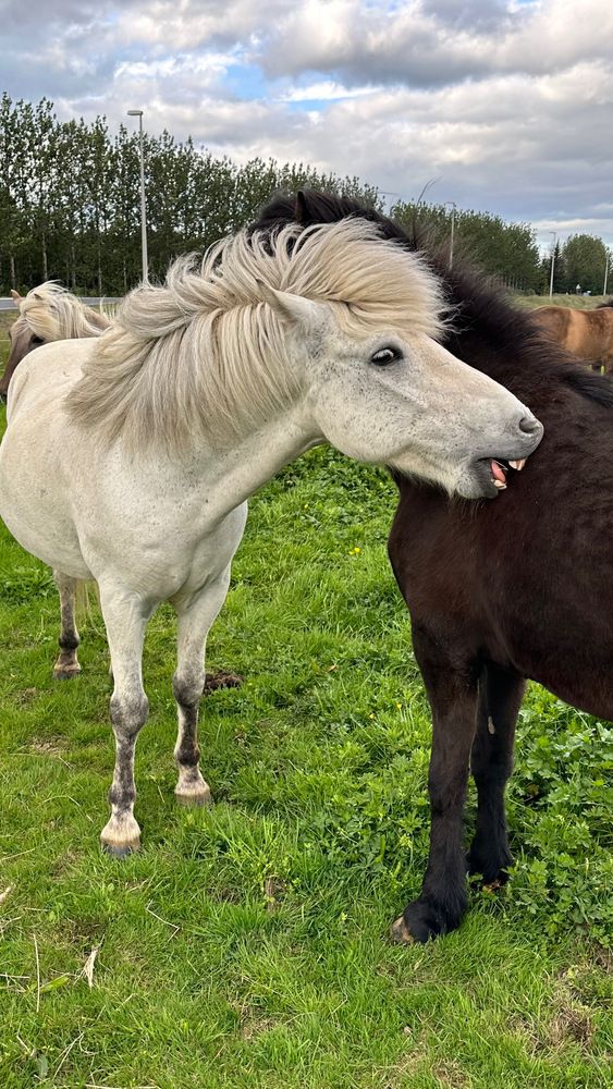 Photograph by Irina Derevich