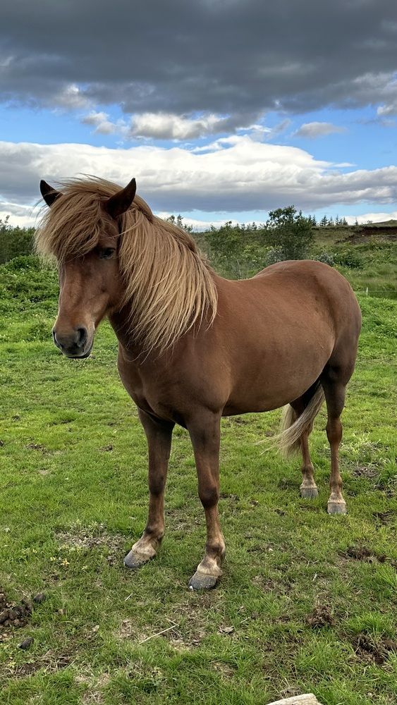 Photograph by Irina Derevich