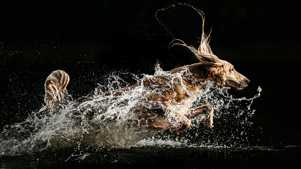 Photograph by Jodie Grieve