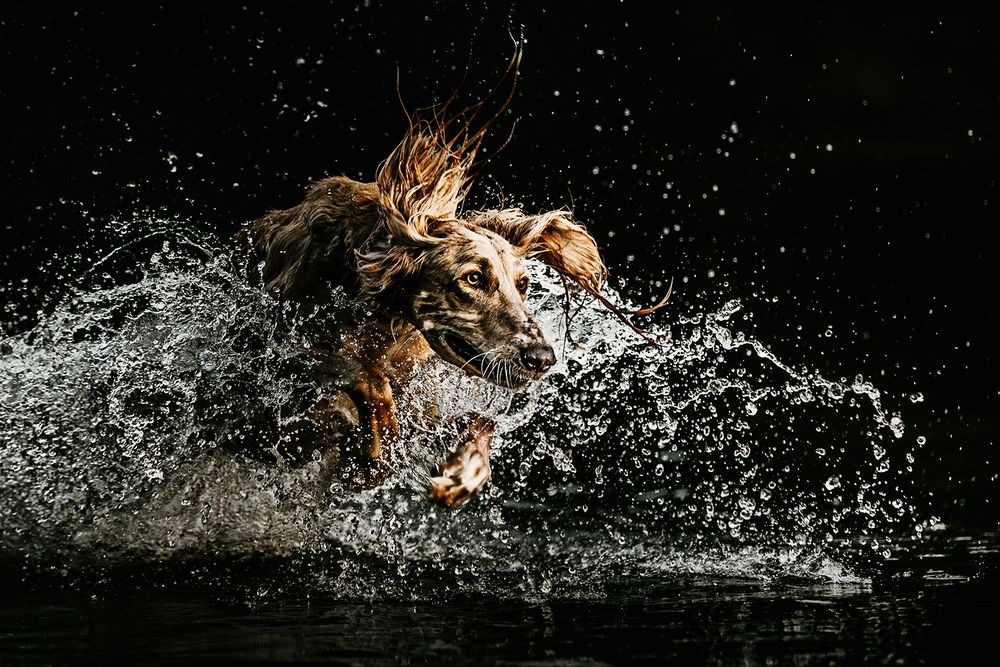 Photograph by Jodie Grieve