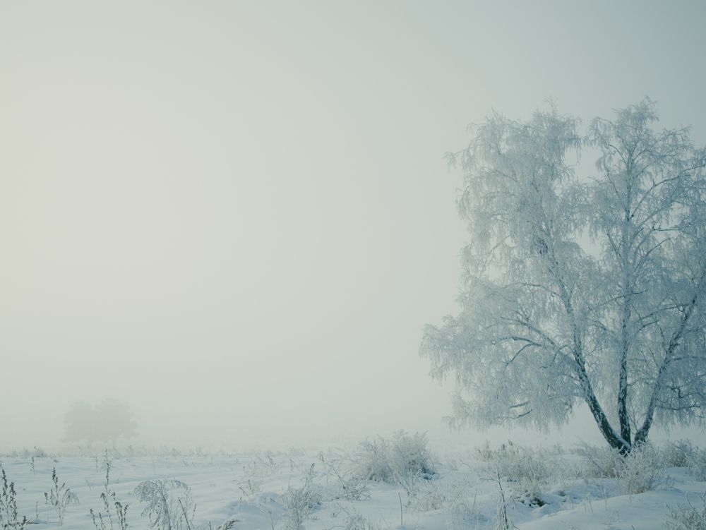 Photo #13125024