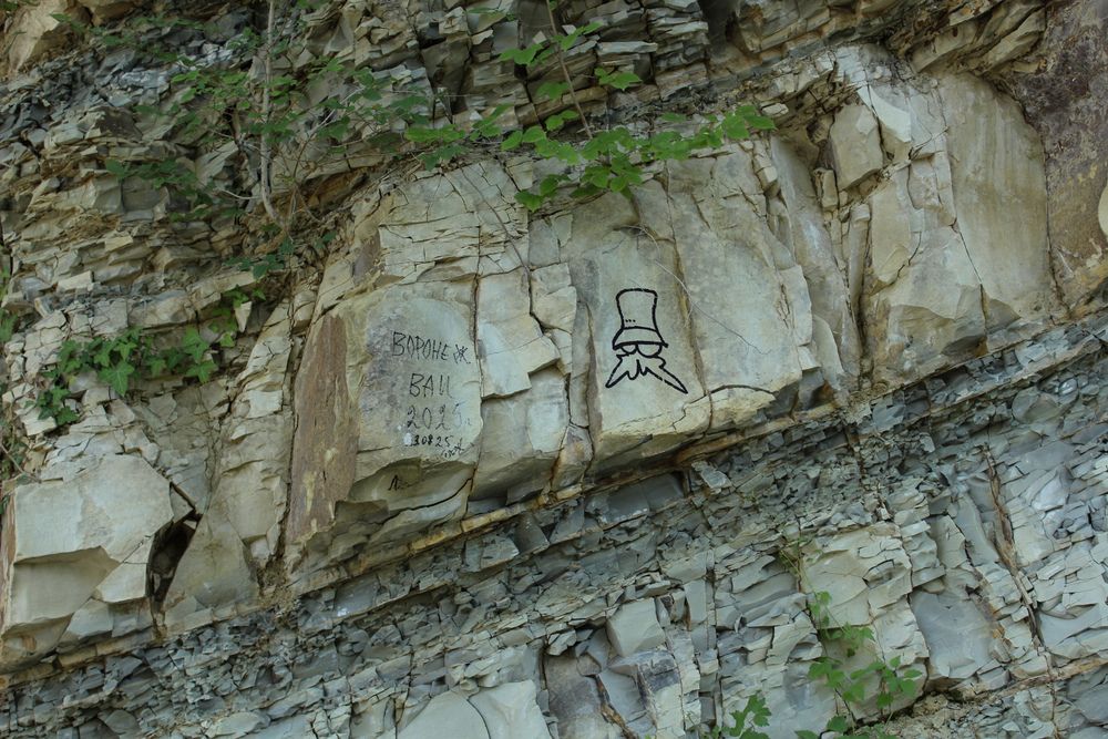 Photograph by Ирина Дмитриенко