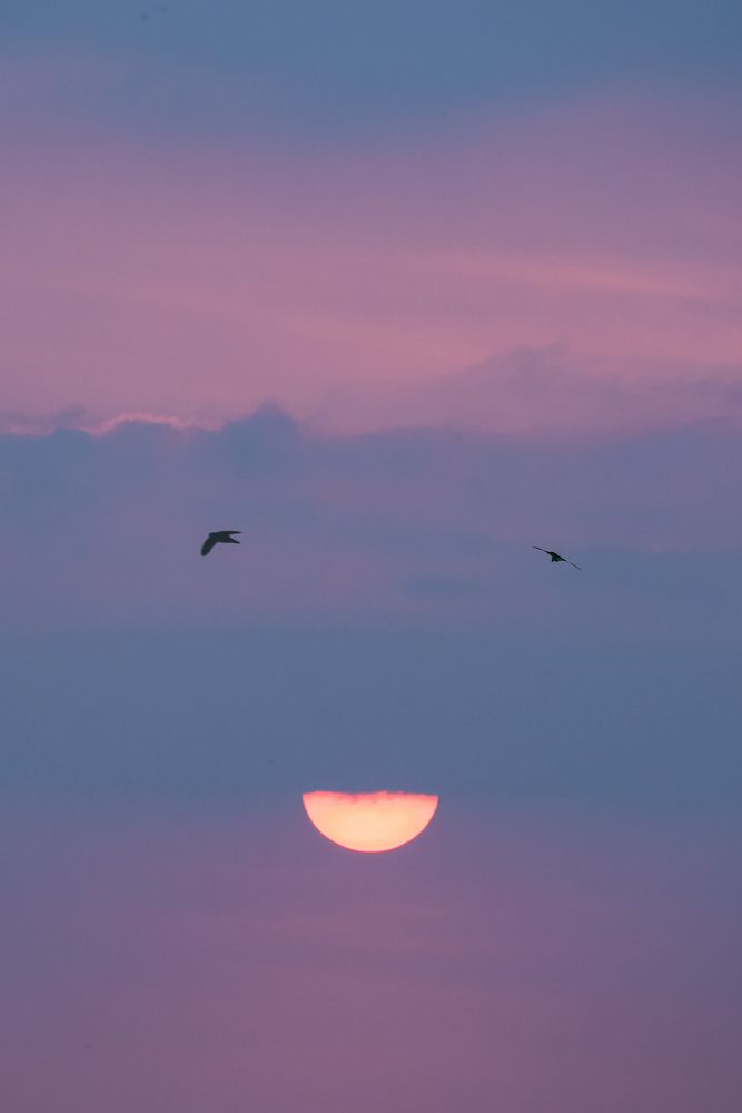 Photograph by Chau Nguyen