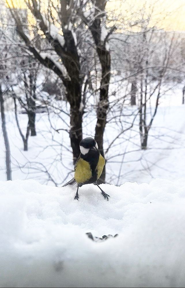 Photograph by Дмитрий Сугако