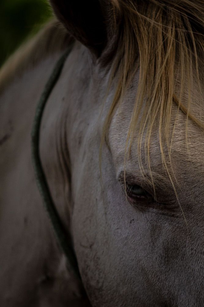Фотография автора Marcelo Vaz