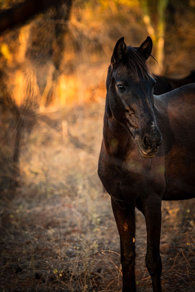 Фотография автора Marcelo Vaz