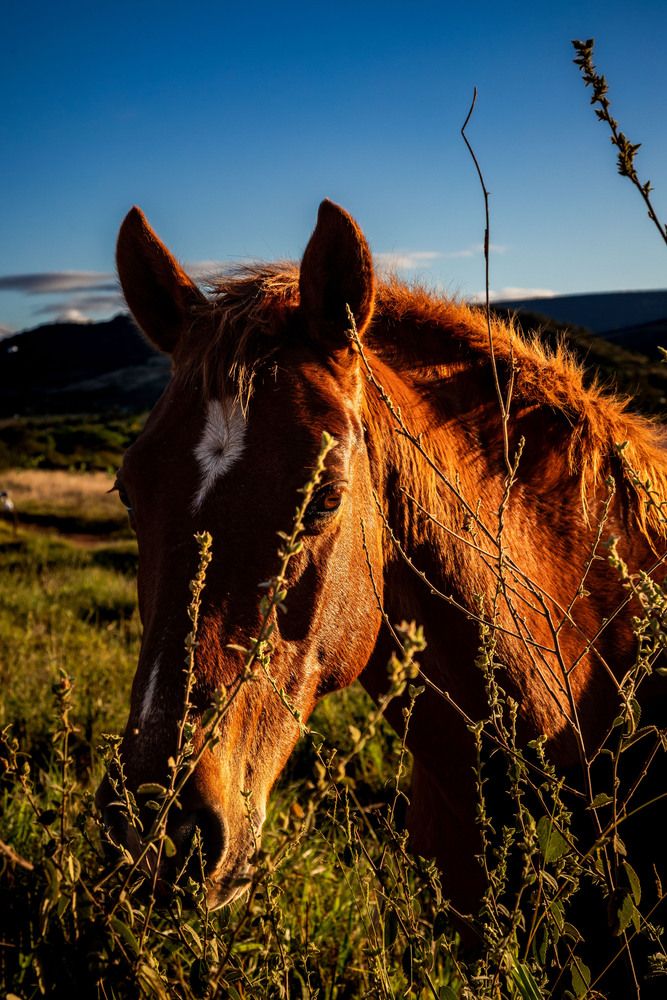 Фотография автора Marcelo Vaz