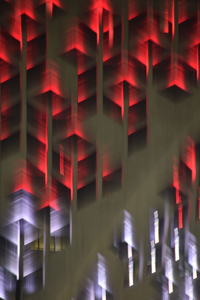 Фотография автора Diego Moyano