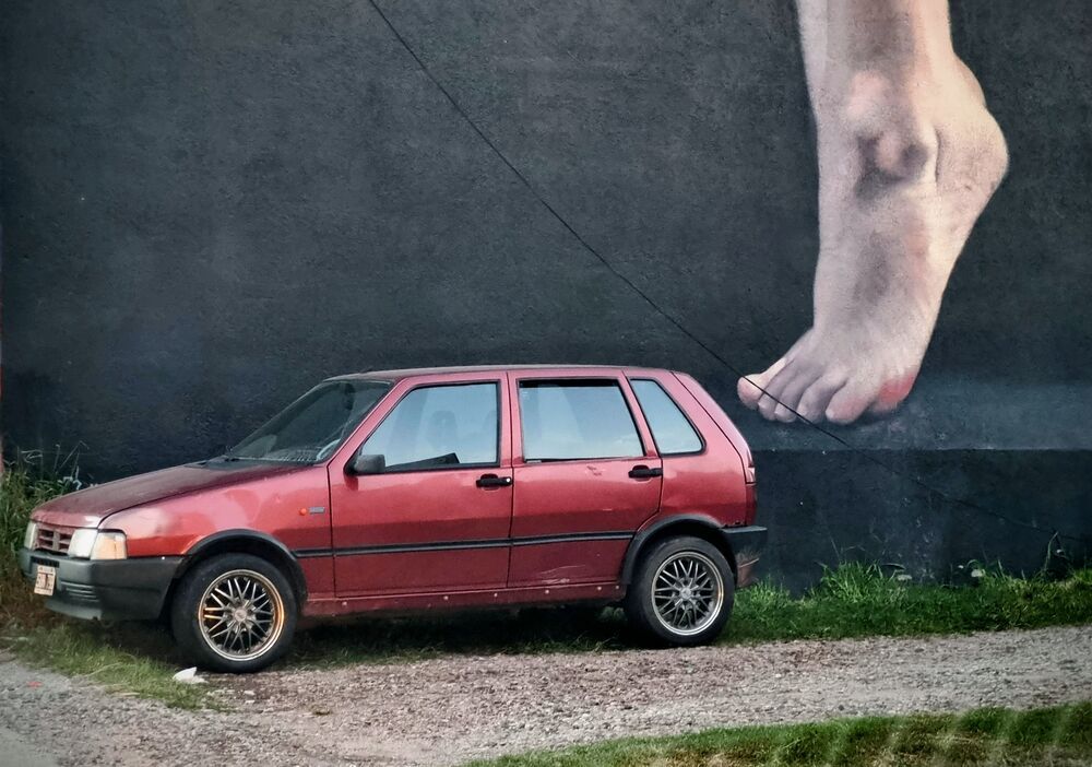 Фотография автора Diego Moyano