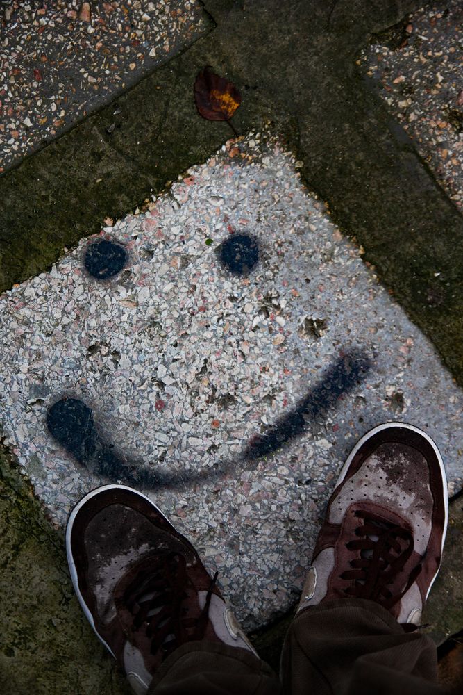 Photo #13125178