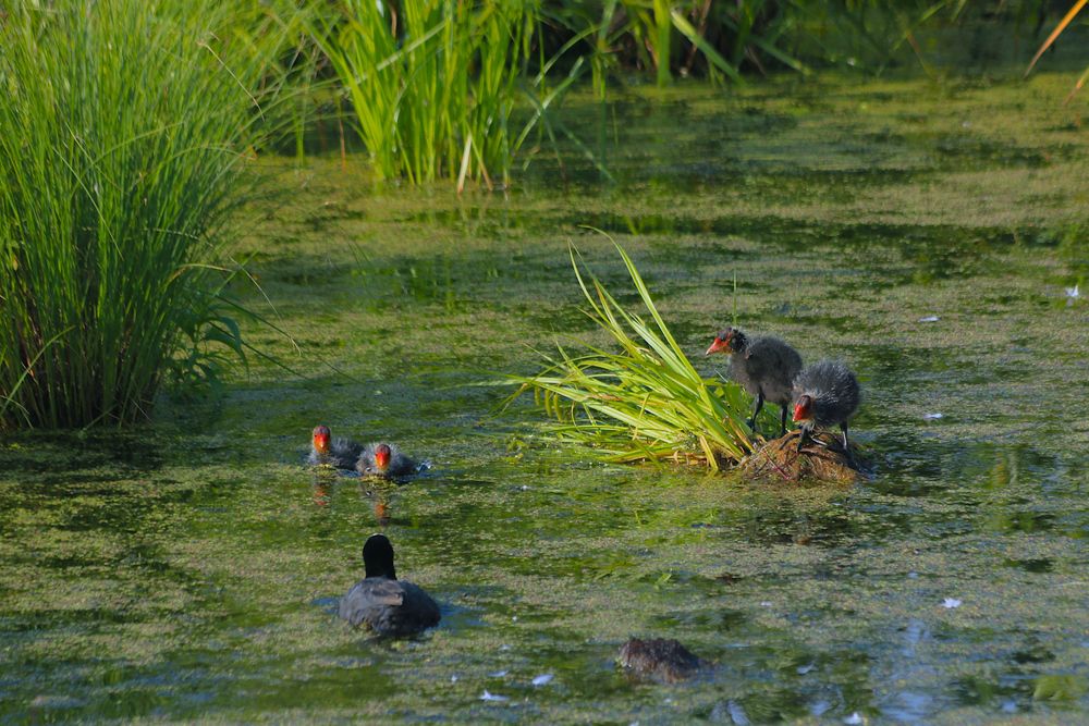 Photograph by Гагик Саркисян