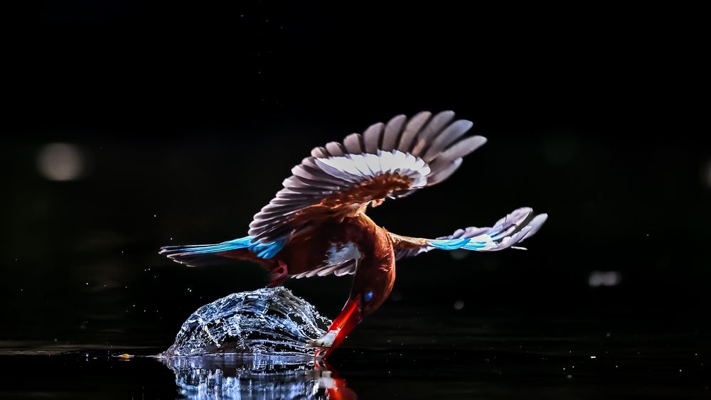 Photograph by Sanjay Danait