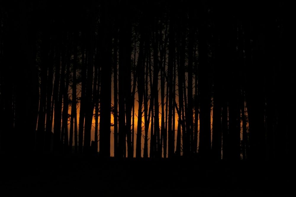 Photograph by Марина Иванникова