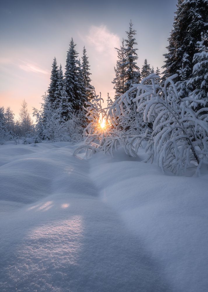 Photograph by Алексей Турчин