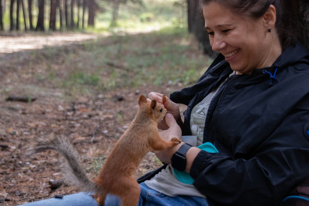 Фотография автора Анатолий Дворкин