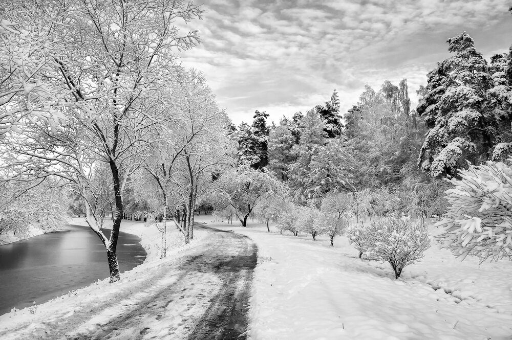 Photo #13125344
