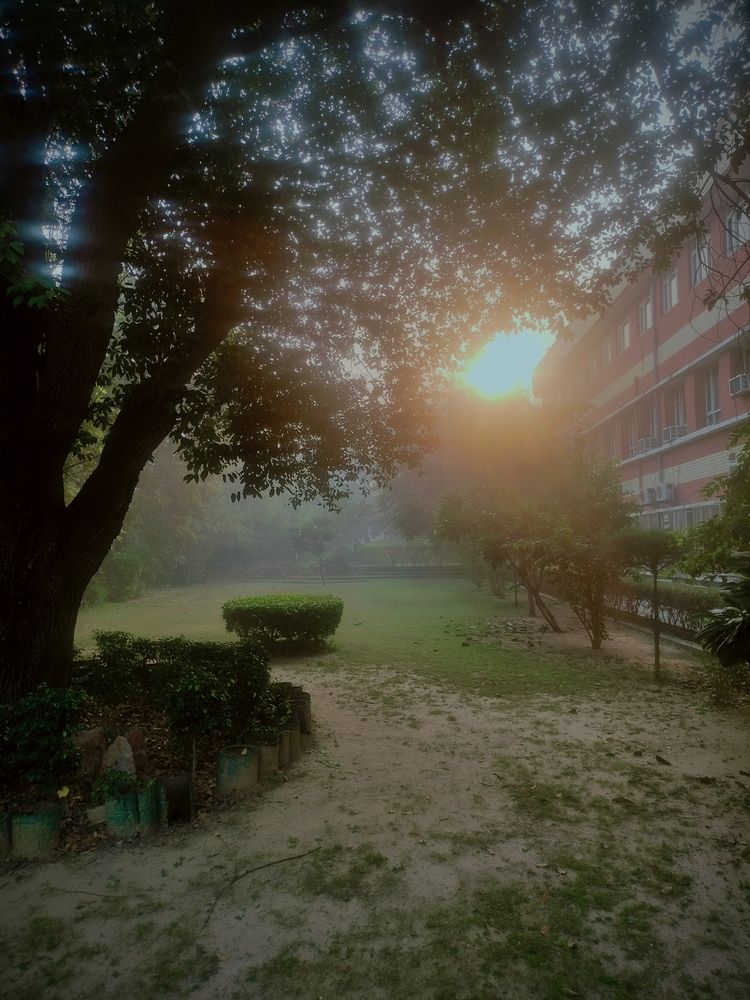 Wrapped in Fog, Touched by Light