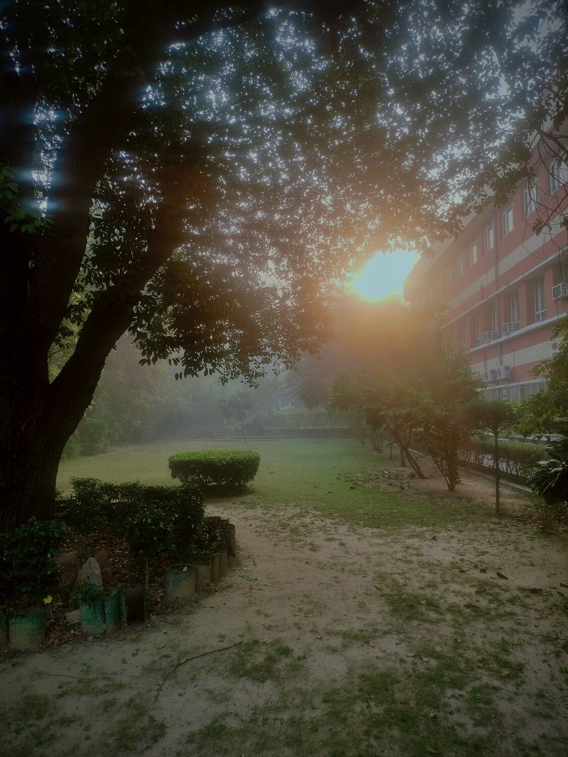 Wrapped in Fog, Touched by Light