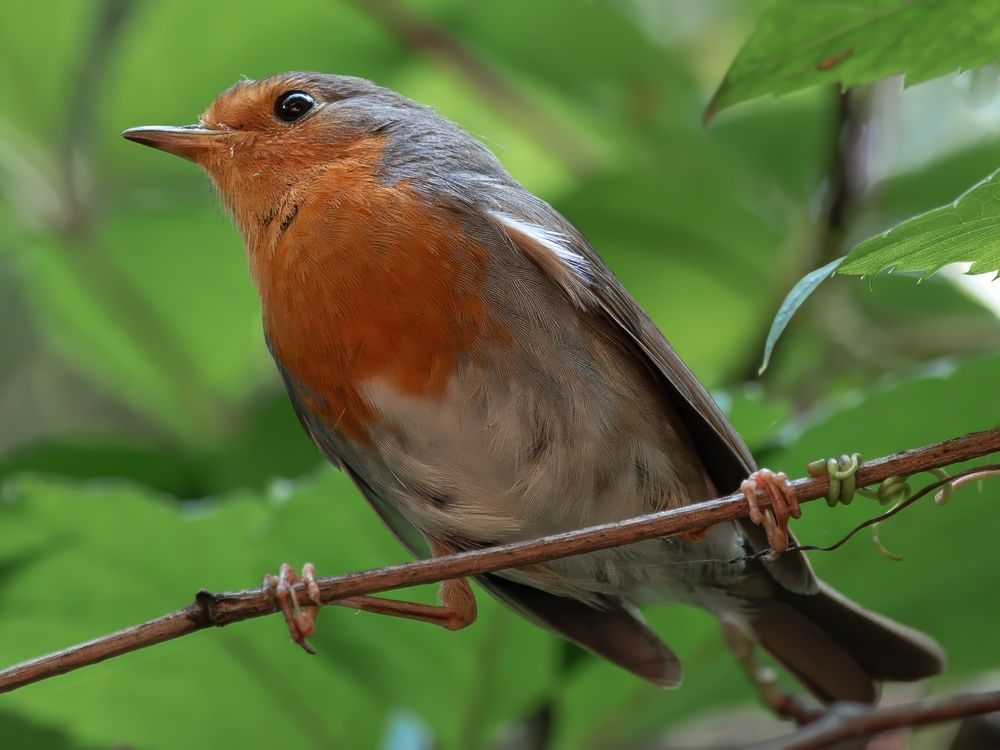 Photograph by Борис Полтавец