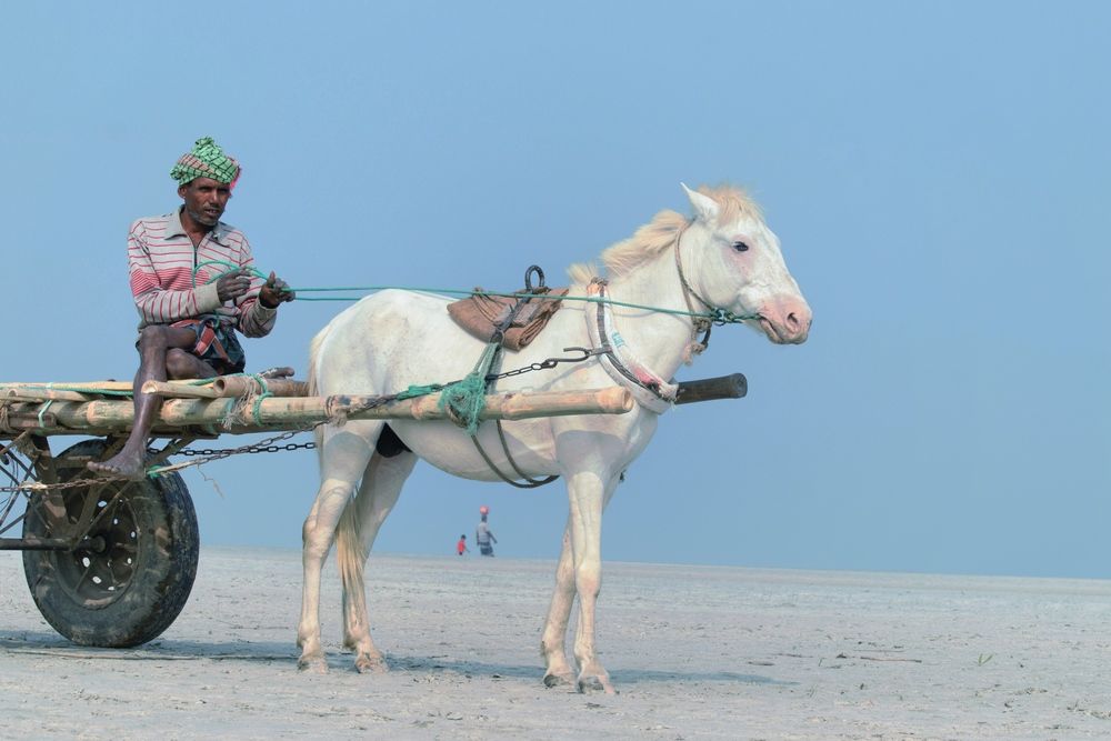 Фотография автора Washiful Majid