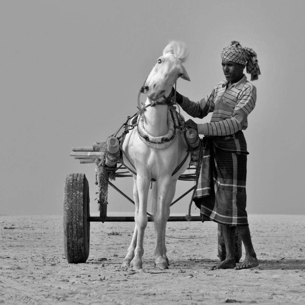 Фотография автора Washiful Majid