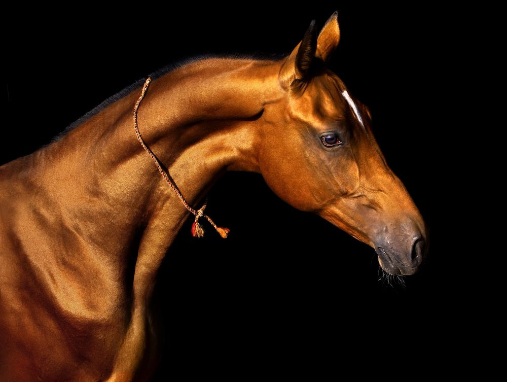 Сотканный из золота.