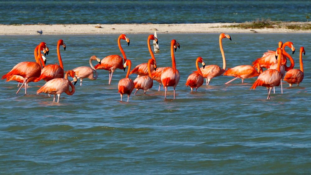 Фотография автора николай зайцев