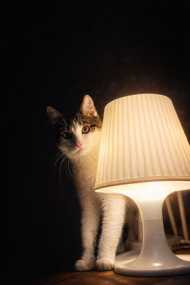 Photograph by Миша Лавашик