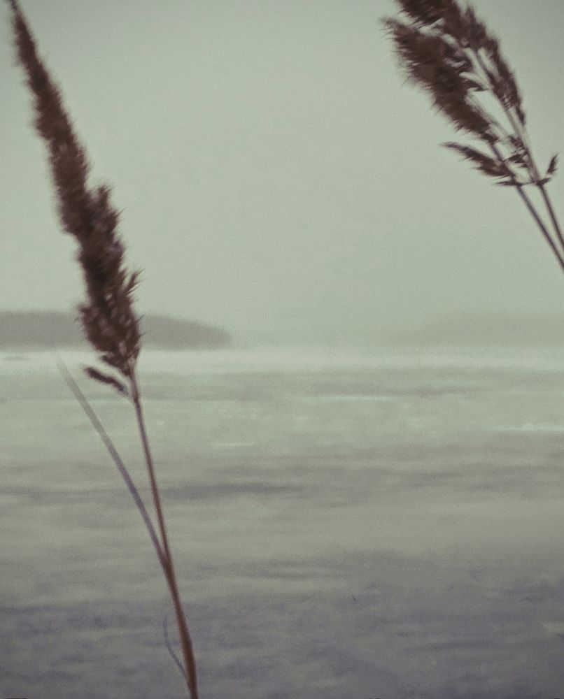 Photograph by Наталья Смирнова