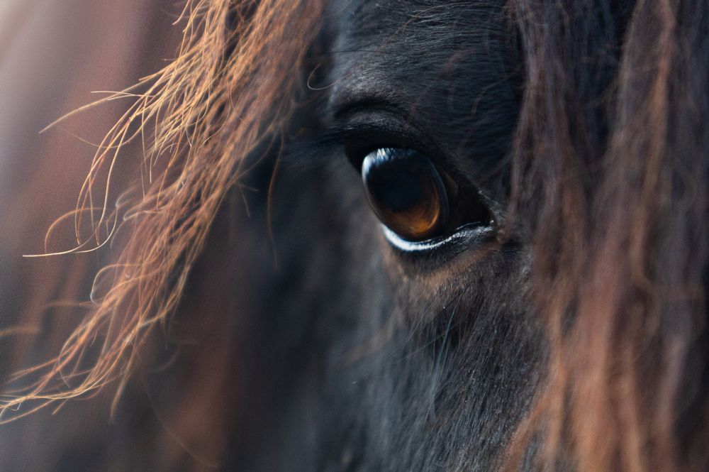 Зеркало души.