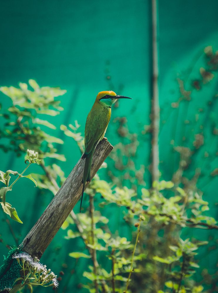 Photograph by Юлия Подлеснова