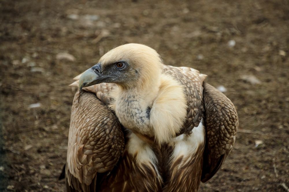 Photograph by Юлия Подлеснова