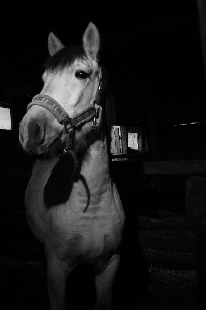 Photograph by Сергей Пюннинен