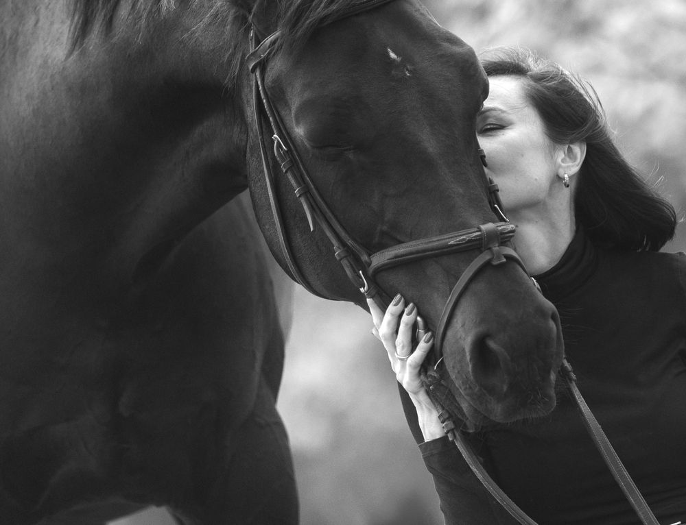 Это любовь.