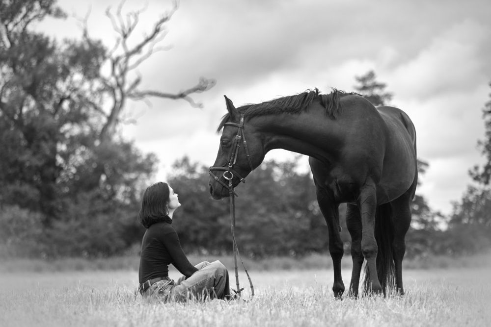 Photograph by Ольга Вайвода