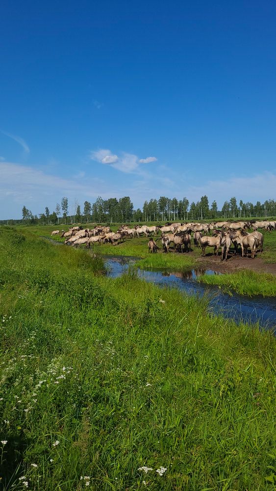 Фотография автора Татьяна Прашкевич