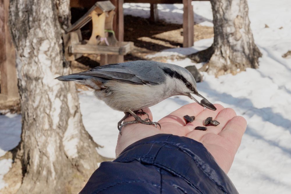 Photograph by Olga Smirnova